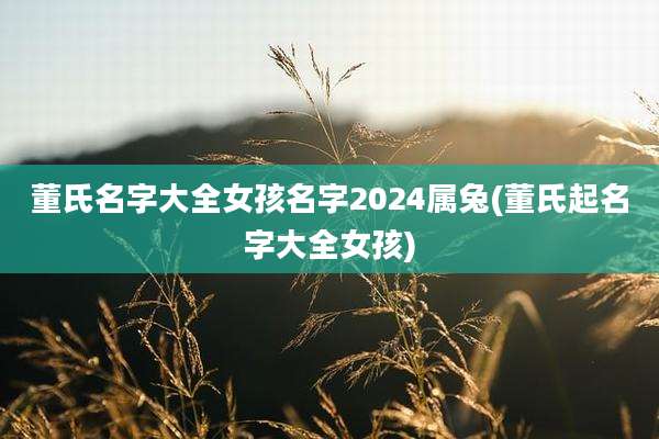 董氏名字大全女孩名字2024属兔(董氏起名字大全女孩)