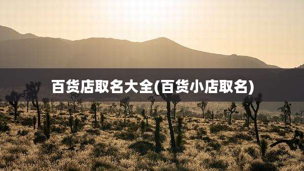 百货店取名大全(百货小店取名)