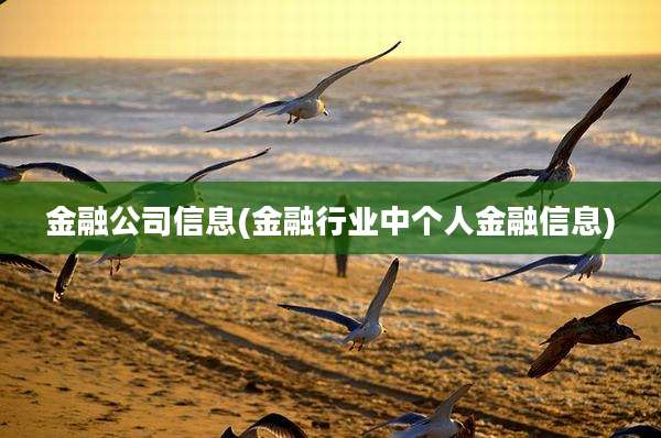 金融公司信息(金融行业中个人金融信息)