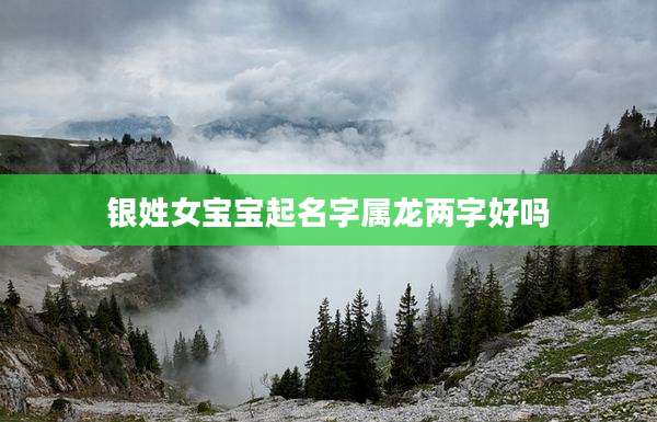 银姓女宝宝起名字属龙两字好吗