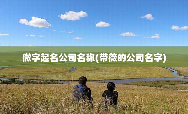 微字起名公司名称(带薇的公司名字)