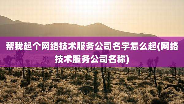 帮我起个网络技术服务公司名字怎么起(网络技术服务公司名称)