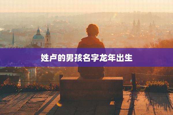 姓卢的男孩名字龙年出生