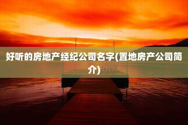 好听的房地产经纪公司名字(置地房产公司简介)