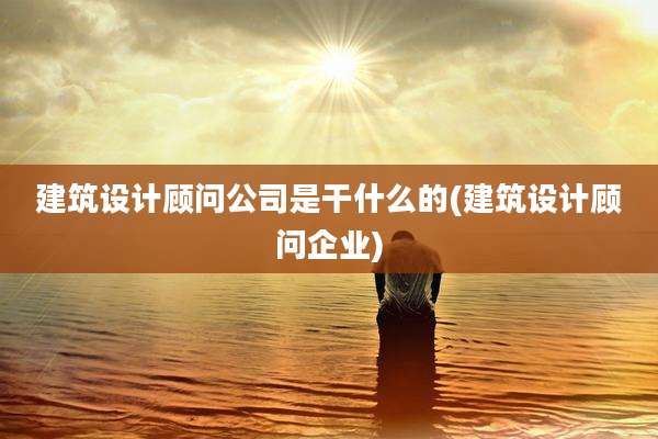 建筑设计顾问公司是干什么的(建筑设计顾问企业)
