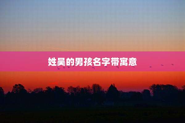 姓吴的男孩名字带寓意