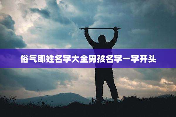 俗气郎姓名字大全男孩名字一字开头