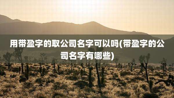 用带盈字的取公司名字可以吗(带盈字的公司名字有哪些)