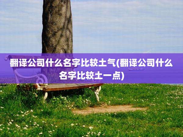 翻译公司什么名字比较土气(翻译公司什么名字比较土一点)