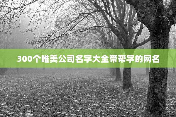 300个唯美公司名字大全带帮字的网名