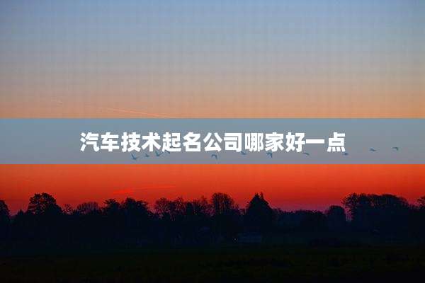汽车技术起名公司哪家好一点