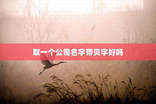 取一个公司名字带贝字好吗