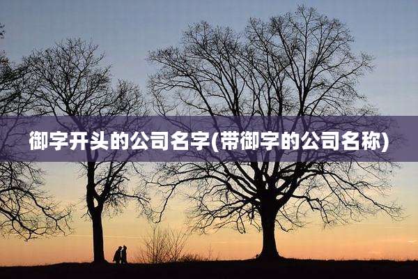 御字开头的公司名字(带御字的公司名称)