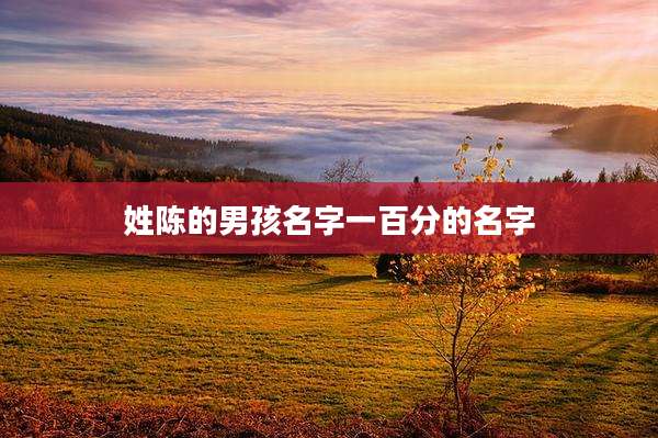 姓陈的男孩名字一百分的名字