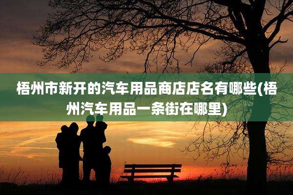 梧州市新开的汽车用品商店店名有哪些(梧州汽车用品一条街在哪里)