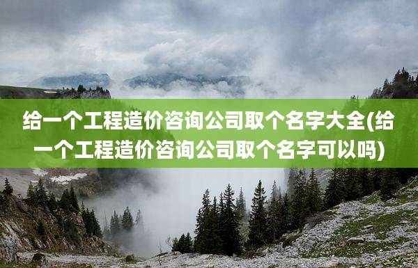 给一个工程造价咨询公司取个名字大全(给一个工程造价咨询公司取个名字可以吗)