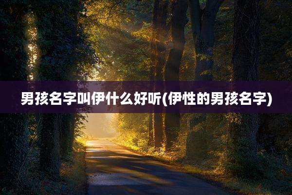 男孩名字叫伊什么好听(伊性的男孩名字)