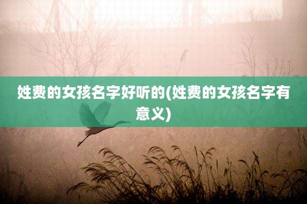 姓费的女孩名字好听的(姓费的女孩名字有意义)