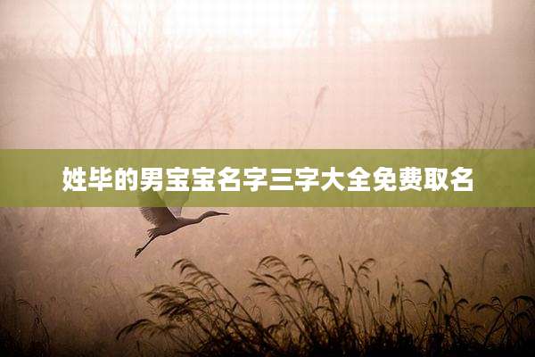 姓毕的男宝宝名字三字大全免费取名