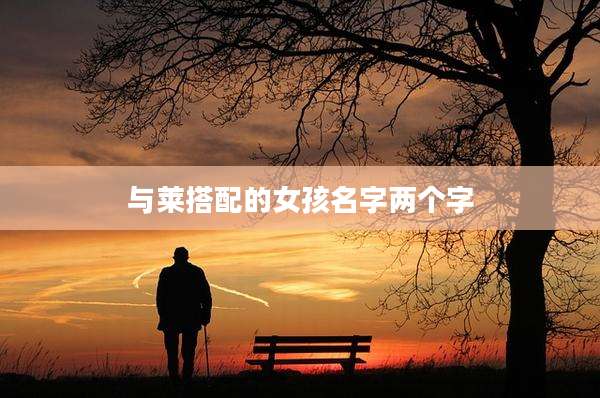 与莱搭配的女孩名字两个字
