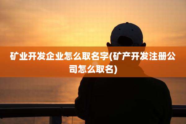 矿业开发企业怎么取名字(矿产开发注册公司怎么取名)