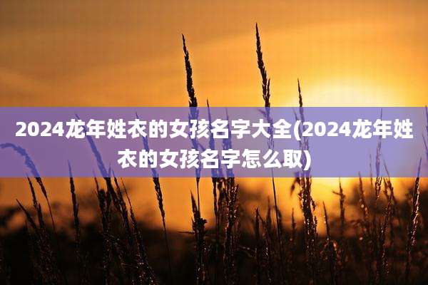 2024龙年姓衣的女孩名字大全(2024龙年姓衣的女孩名字怎么取)