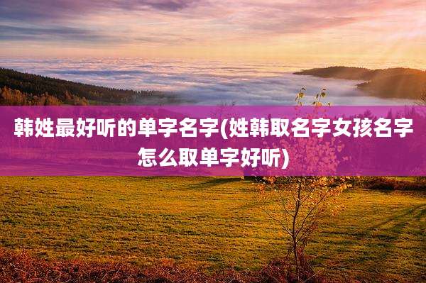 韩姓最好听的单字名字(姓韩取名字女孩名字怎么取单字好听)