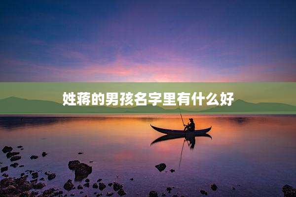 姓蒋的男孩名字里有什么好