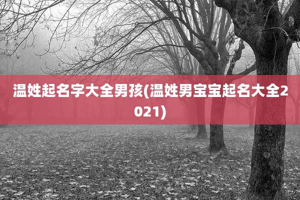 温姓起名字大全男孩(温姓男宝宝起名大全2021)