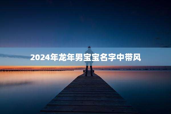 2024年龙年男宝宝名字中带风