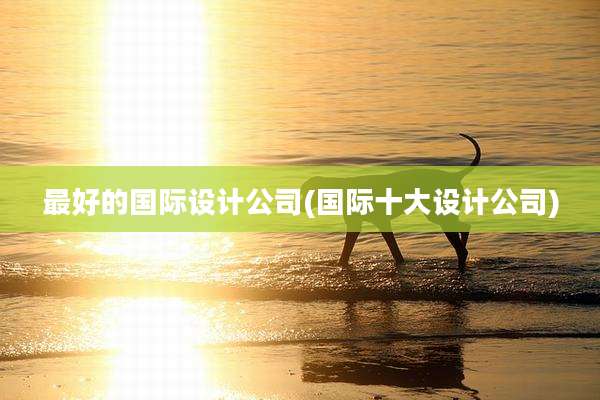 最好的国际设计公司(国际十大设计公司)