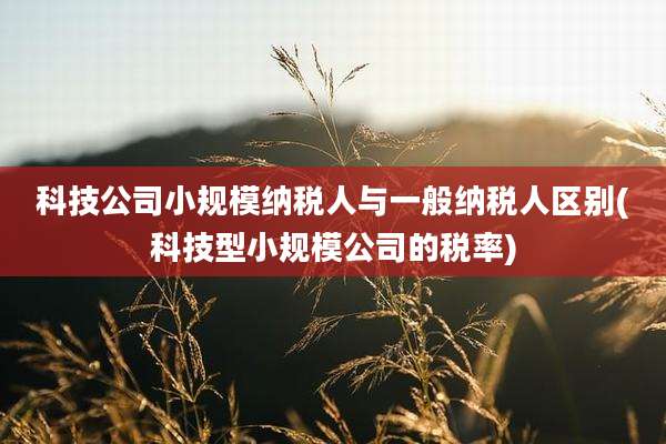 科技公司小规模纳税人与一般纳税人区别(科技型小规模公司的税率)