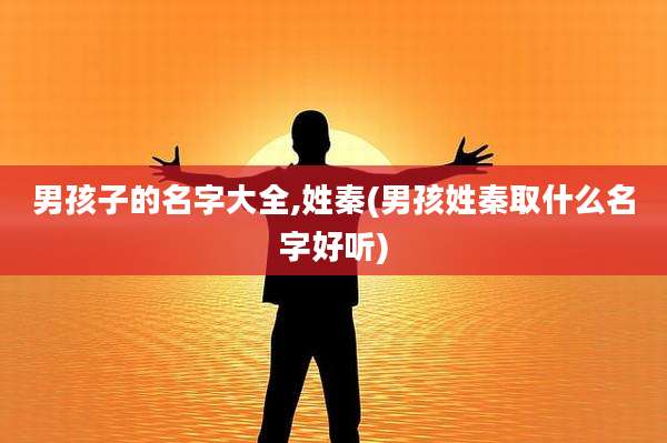 男孩子的名字大全,姓秦(男孩姓秦取什么名字好听)