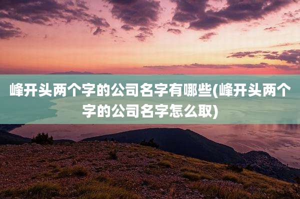 峰开头两个字的公司名字有哪些(峰开头两个字的公司名字怎么取)