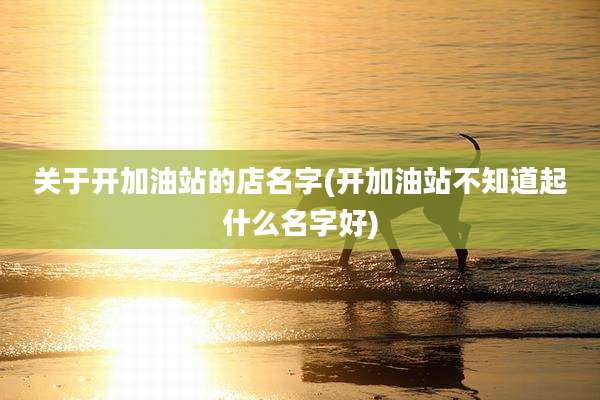 关于开加油站的店名字(开加油站不知道起什么名字好)