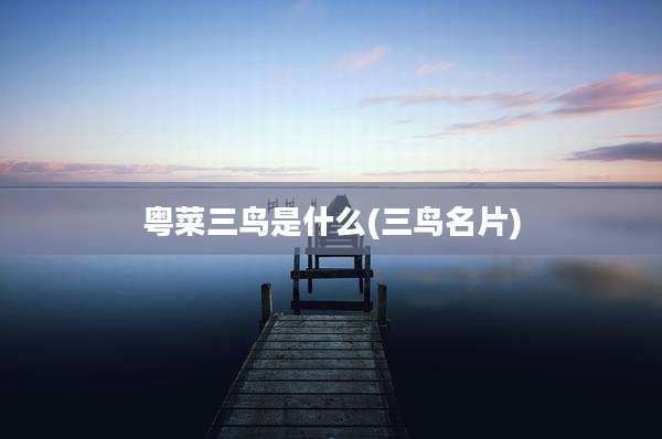 粤菜三鸟是什么(三鸟名片)