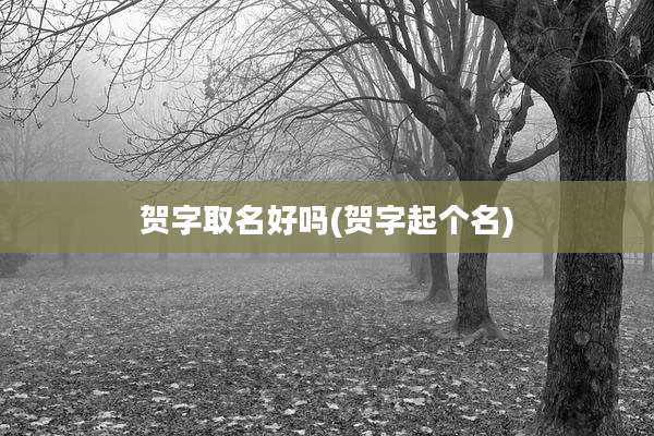 贺字取名好吗(贺字起个名)