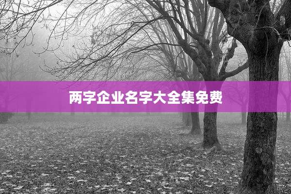 两字企业名字大全集免费