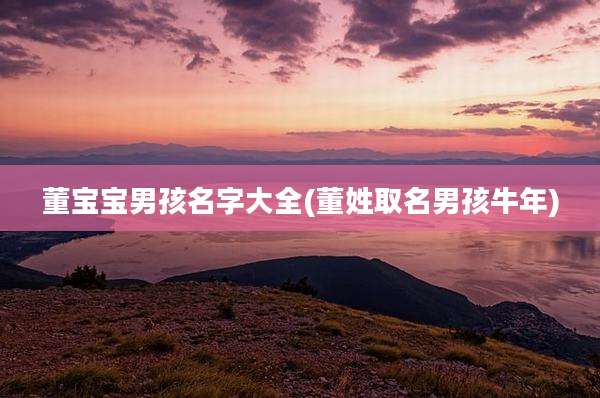 董宝宝男孩名字大全(董姓取名男孩牛年)