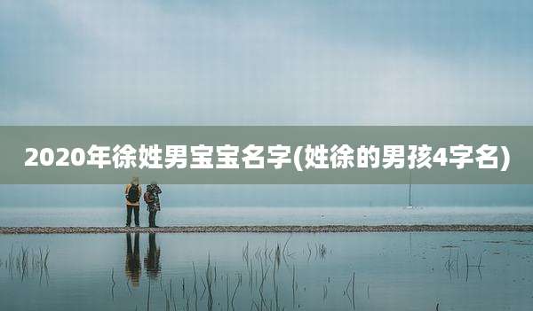 2020年徐姓男宝宝名字(姓徐的男孩4字名)