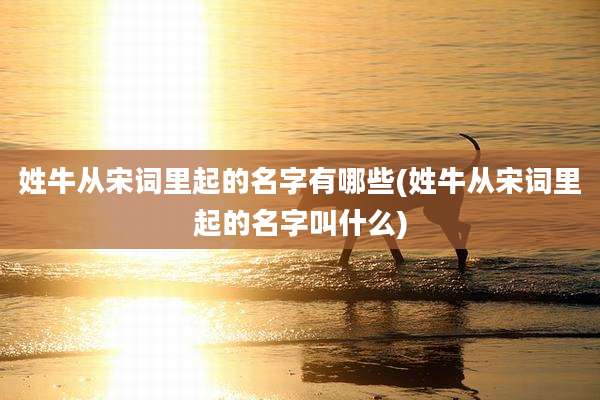 姓牛从宋词里起的名字有哪些(姓牛从宋词里起的名字叫什么)