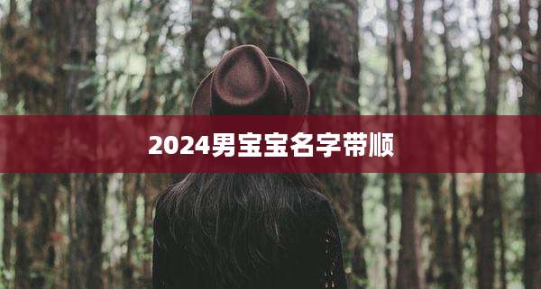 2024男宝宝名字带顺