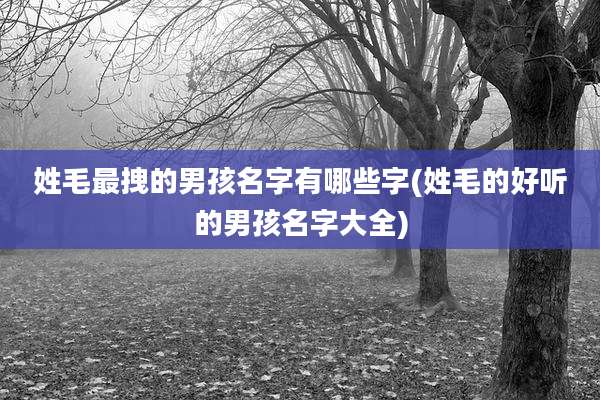 姓毛最拽的男孩名字有哪些字(姓毛的好听的男孩名字大全)