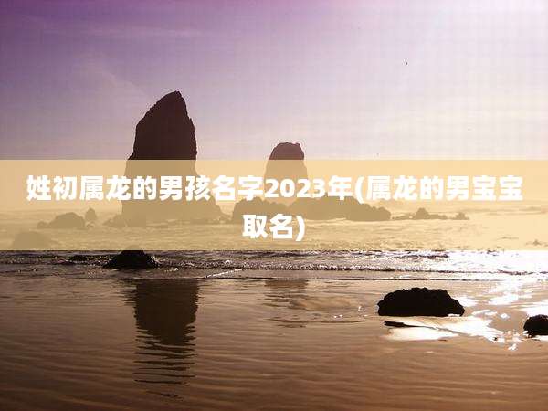 姓初属龙的男孩名字2023年(属龙的男宝宝取名)