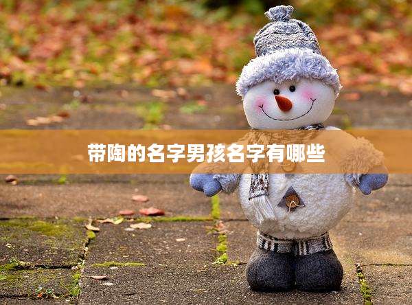 带陶的名字男孩名字有哪些