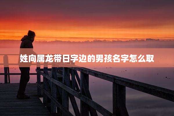 姓向属龙带日字边的男孩名字怎么取