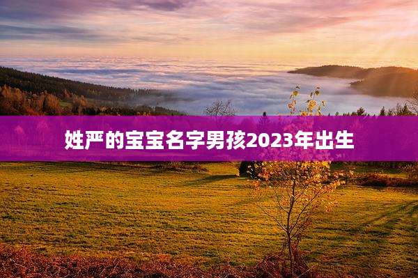 姓严的宝宝名字男孩2023年出生