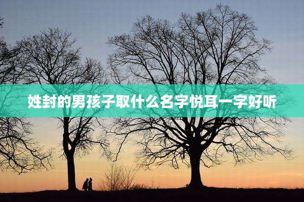 姓封的男孩子取什么名字悦耳一字好听
