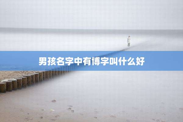 男孩名字中有博字叫什么好