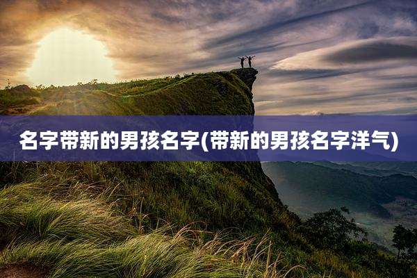 名字带新的男孩名字(带新的男孩名字洋气)